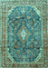 Machine Washable Persian Turquoise Traditional Area Rugs, wshtr3374turq