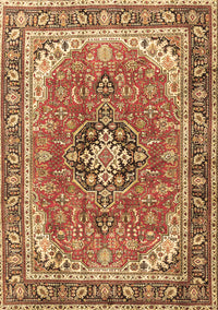Persian Brown Traditional Rug, tr3375brn