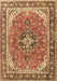 Machine Washable Persian Brown Traditional Rug, wshtr3375brn