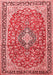 Medallion Red Traditional Area Rugs