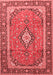 Medallion Red Traditional Area Rugs