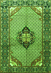 Persian Green Traditional Rug, tr3382grn