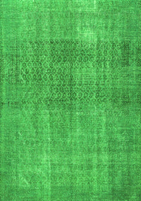 Persian Green Traditional Rug, tr3388grn