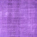 Square Machine Washable Persian Purple Traditional Area Rugs, wshtr3388pur