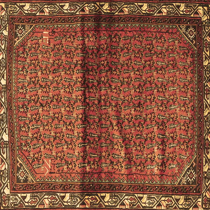 Square Persian Brown Traditional Rug, tr3389brn