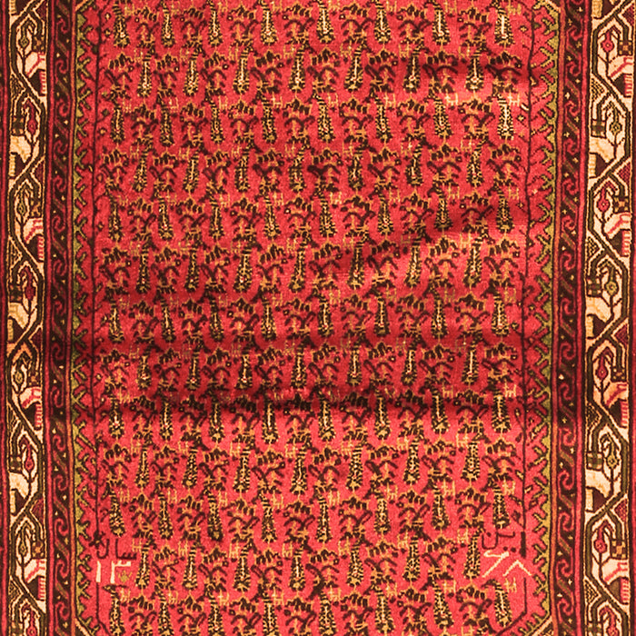 Serging Thickness of Machine Washable Persian Orange Traditional Area Rugs, wshtr3389org