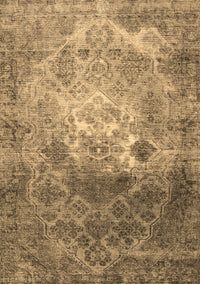 Persian Brown Traditional Rug, tr3390brn