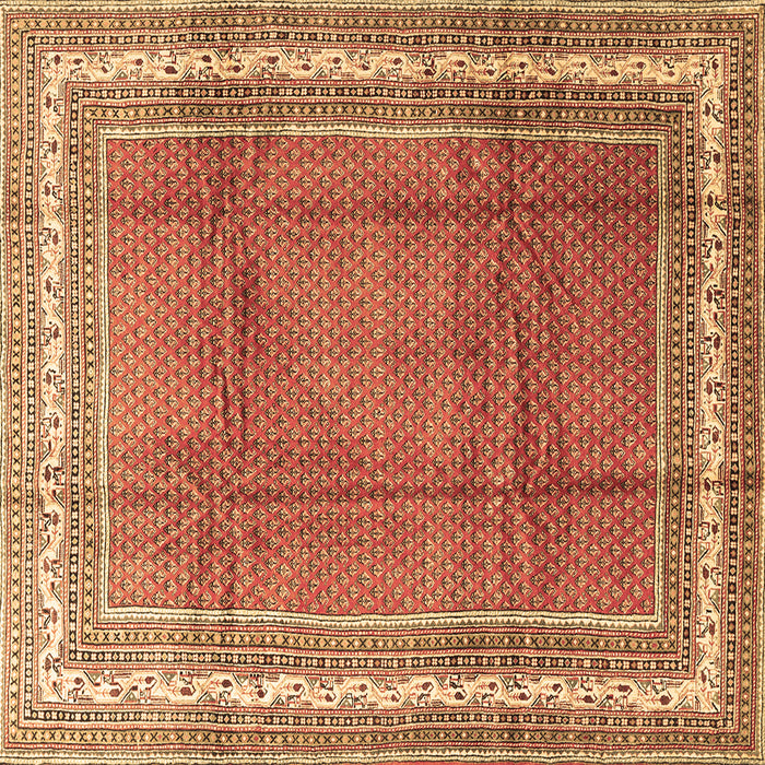 Square Persian Brown Traditional Rug, tr3402brn