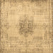 Square Persian Brown Traditional Rug, tr3404brn