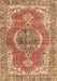 Machine Washable Persian Brown Traditional Rug, wshtr3413brn