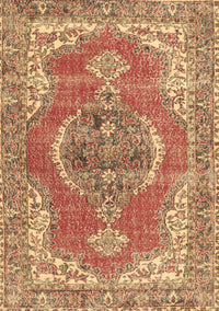 Persian Brown Traditional Rug, tr3413brn