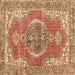 Square Persian Brown Traditional Rug, tr3413brn