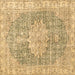 Square Persian Brown Traditional Rug, tr3414brn