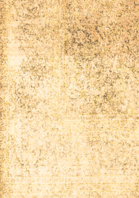 Persian Brown Traditional Rug, tr3417brn