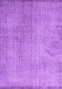 Persian Purple Traditional Rug, tr3419pur