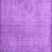 Square Persian Purple Traditional Rug, tr3419pur