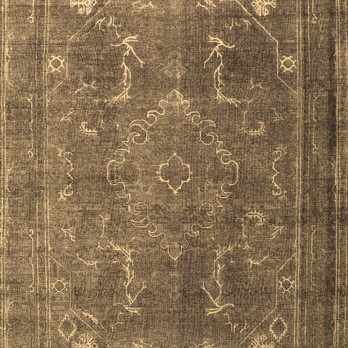 Persian Brown Traditional Rug, tr3420brn