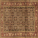 Square Machine Washable Persian Brown Traditional Rug, wshtr3421brn