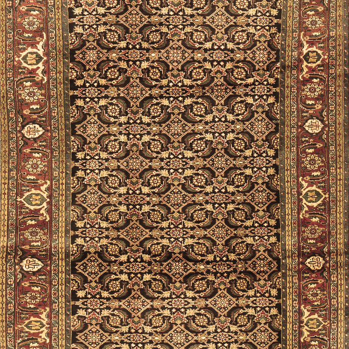 Machine Washable Persian Brown Traditional Rug, wshtr3421brn