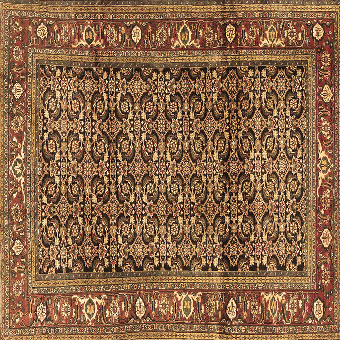 Square Persian Brown Traditional Rug, tr3421brn