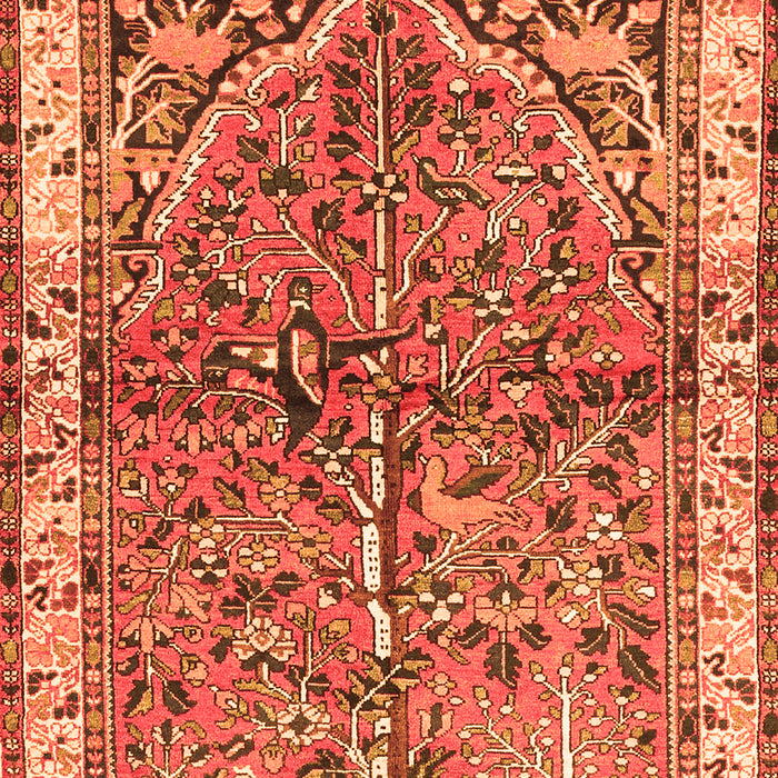 Serging Thickness of Machine Washable Animal Orange Traditional Area Rugs, wshtr3424org