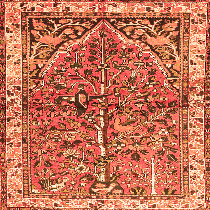 Round Machine Washable Animal Orange Traditional Area Rugs, wshtr3424org
