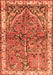 Animal Orange Traditional Rug, tr3424org