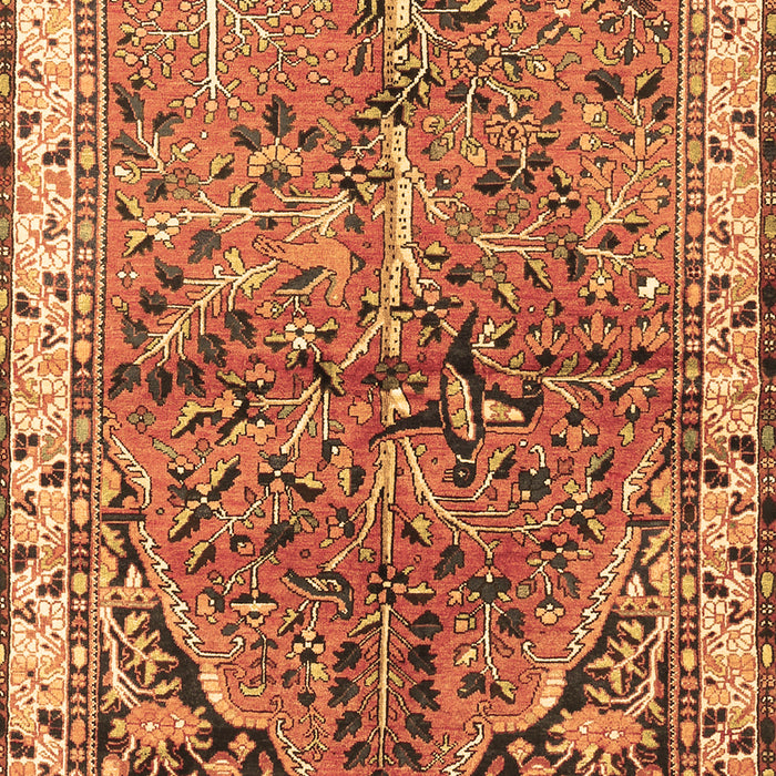 Machine Washable Animal Brown Traditional Rug, wshtr3425brn