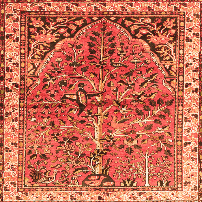 Round Machine Washable Animal Orange Traditional Area Rugs, wshtr3425org