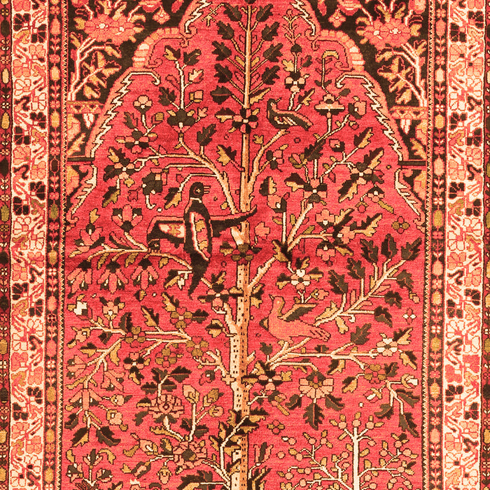 Serging Thickness of Machine Washable Animal Orange Traditional Area Rugs, wshtr3425org