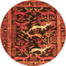 Square Animal Orange Traditional Rug, tr3426org