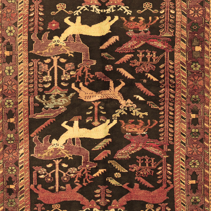 Animal Brown Traditional Rug, tr3426brn
