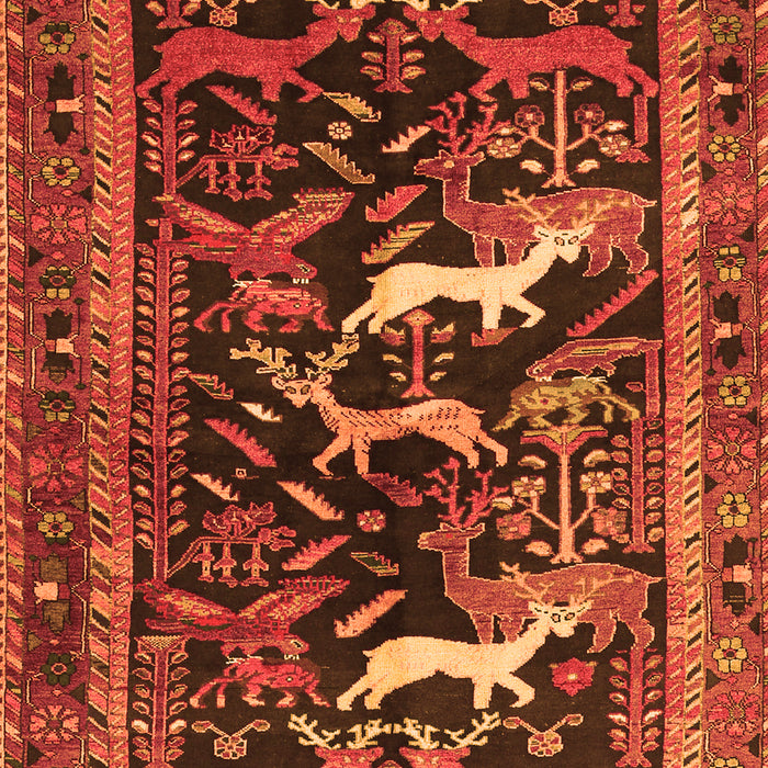Animal Orange Traditional Rug, tr3426org
