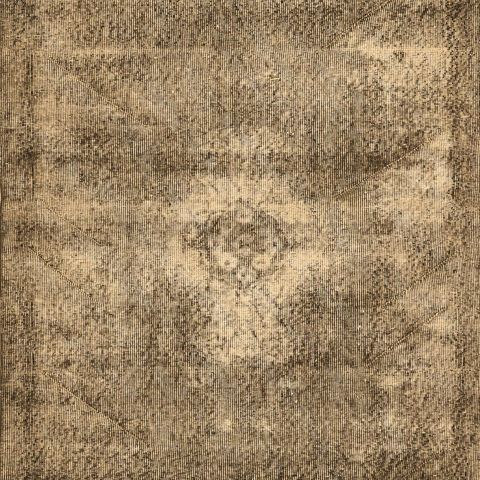 Machine Washable Persian Brown Traditional Rug, wshtr3428brn