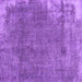 Square Persian Purple Traditional Rug, tr3430pur