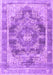 Machine Washable Persian Purple Traditional Area Rugs, wshtr3438pur