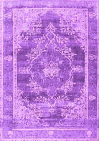 Persian Purple Traditional Rug, tr3438pur