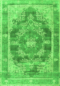 Persian Green Traditional Rug, tr3438grn