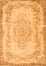 Persian Orange Traditional Rug, tr3442org