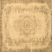 Square Persian Brown Traditional Rug, tr3442brn