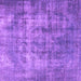 Square Persian Purple Traditional Rug, tr3457pur