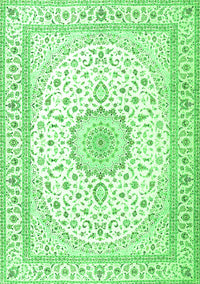 Medallion Green Traditional Rug, tr3462grn