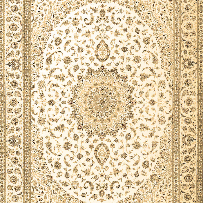 Medallion Brown Traditional Rug, tr3462brn
