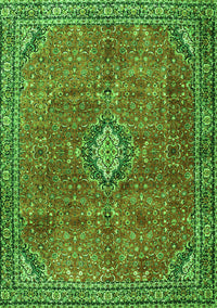Persian Green Traditional Rug, tr3467grn