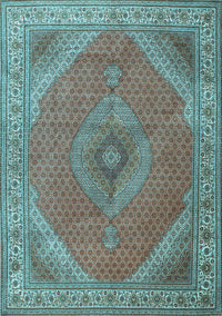 Persian Light Blue Traditional Rug, tr3469lblu