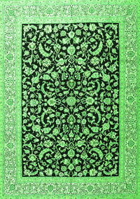 Persian Green Traditional Rug, tr3471grn