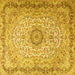 Square Persian Yellow Traditional Rug, tr3475yw