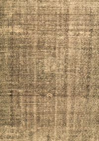 Persian Brown Traditional Rug, tr3479brn