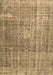 Persian Brown Traditional Rug, tr3479brn