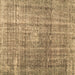 Square Persian Brown Traditional Rug, tr3479brn